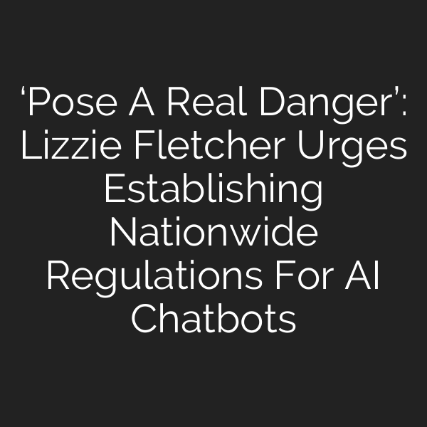 ‘Pose A Real Danger’: Lizzie Fletcher Urges Establishing Nationwide Regulations For AI Chatbots