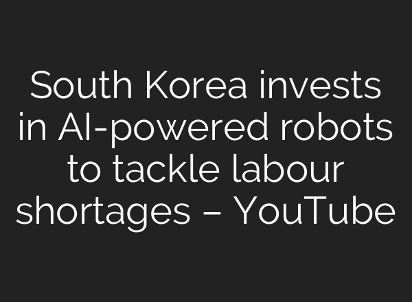 South Korea invests in AI-powered robots to tackle labour shortages – YouTube