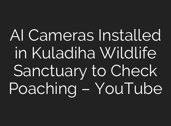AI Cameras Installed in Kuladiha Wildlife Sanctuary to Check Poaching – YouTube