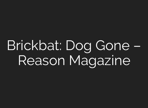Brickbat: Dog Gone – Reason Magazine
