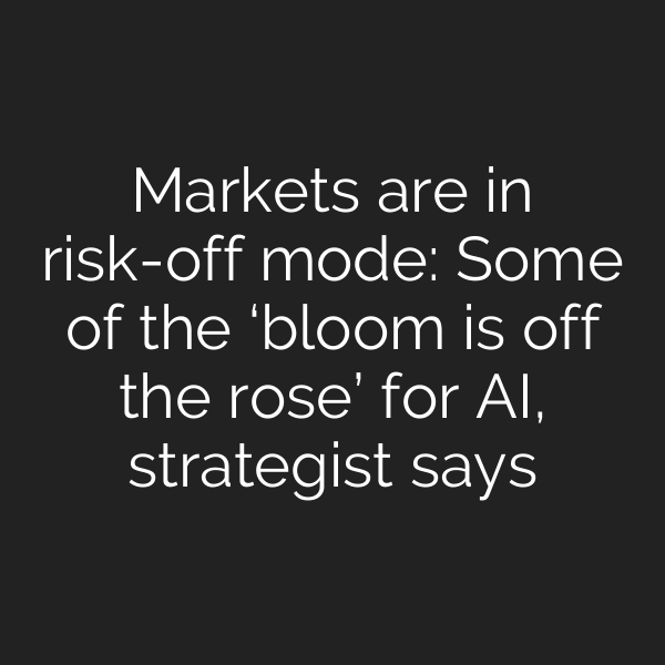 Markets are in risk-off mode: Some of the ‘bloom is off the rose’ for AI, strategist says