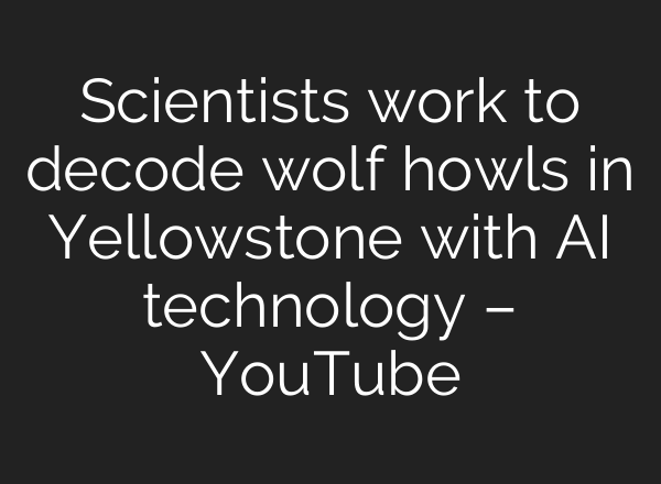Scientists work to decode wolf howls in Yellowstone with AI technology – YouTube