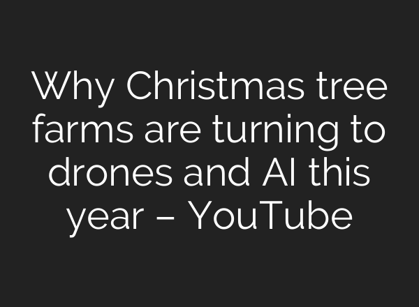 Why Christmas tree farms are turning to drones and AI this year – YouTube