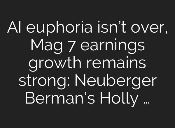 AI euphoria isn’t over, Mag 7 earnings growth remains strong: Neuberger Berman’s Holly …
