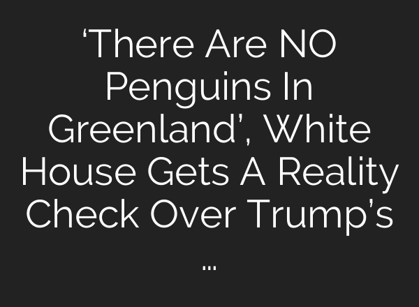 ‘There Are NO Penguins In Greenland’, White House Gets A Reality Check Over Trump’s …