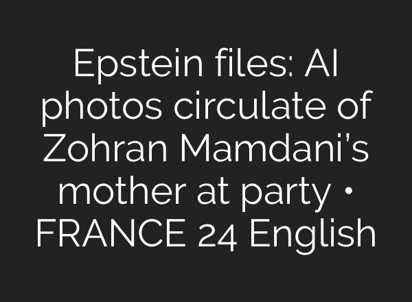 Epstein files: AI photos circulate of Zohran Mamdani’s mother at party • FRANCE 24 English