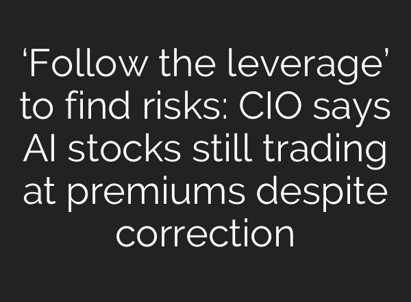 ‘Follow the leverage’ to find risks: CIO says AI stocks still trading at premiums despite correction