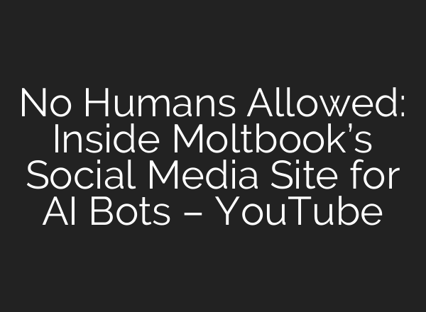 No Humans Allowed: Inside Moltbook’s Social Media Site for AI Bots – YouTube