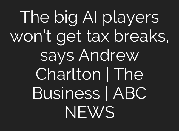 The big AI players won’t get tax breaks, says Andrew Charlton | The Business | ABC NEWS