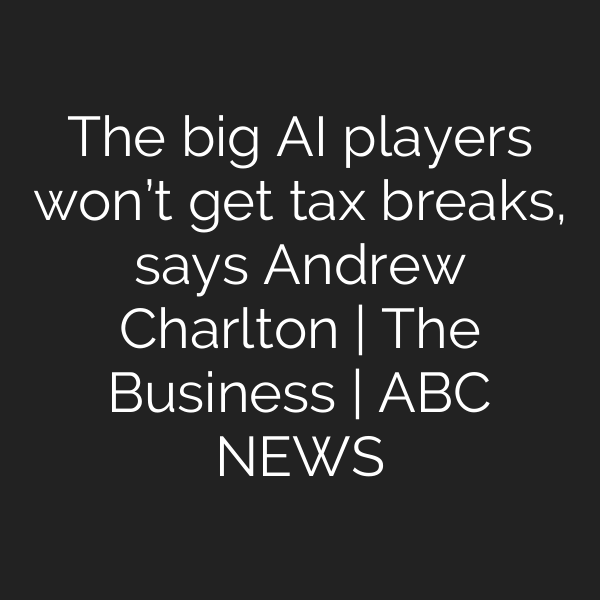 The big AI players won’t get tax breaks, says Andrew Charlton | The Business | ABC NEWS