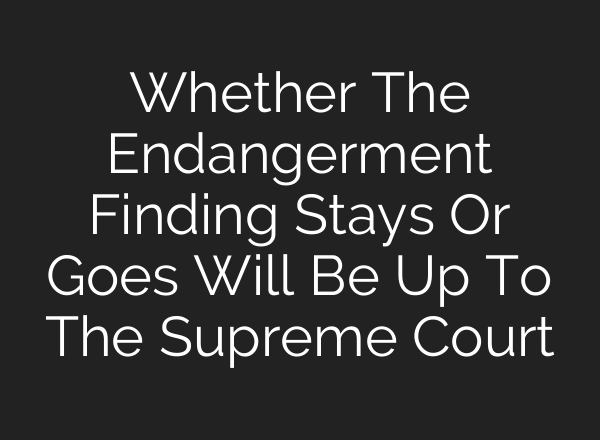 Whether The Endangerment Finding Stays Or Goes Will Be Up To The Supreme Court