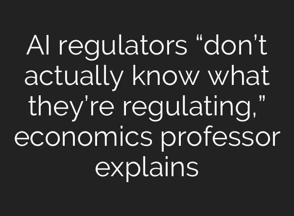 AI regulators “don’t actually know what they’re regulating,” economics professor explains