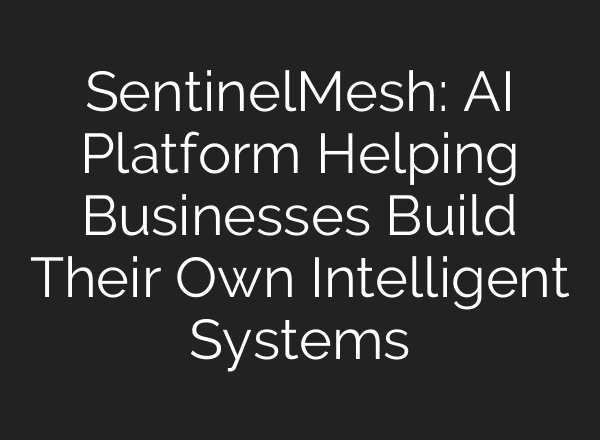 SentinelMesh: AI Platform Helping Businesses Build Their Own Intelligent Systems