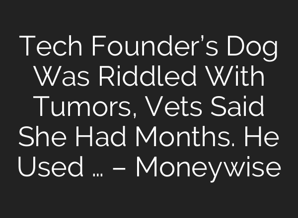 Tech Founder’s Dog Was Riddled With Tumors, Vets Said She Had Months. He Used … – Moneywise