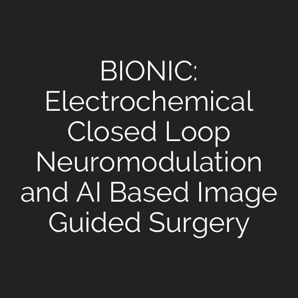 BIONIC: Electrochemical Closed Loop Neuromodulation and AI Based Image Guided Surgery