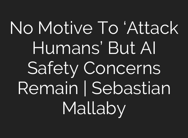 No Motive To ‘Attack Humans’ But AI Safety Concerns Remain | Sebastian Mallaby