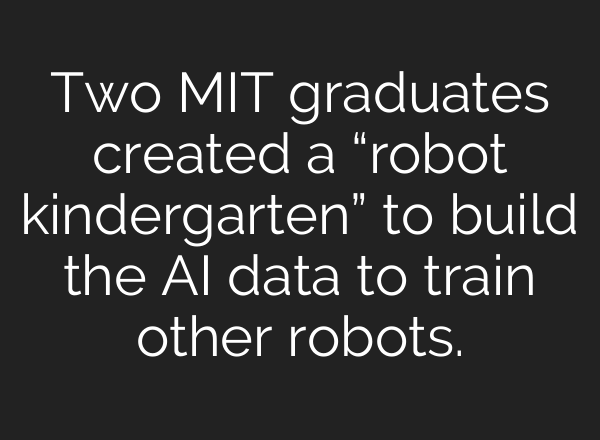Two MIT graduates created a “robot kindergarten” to build the AI data to train other robots.