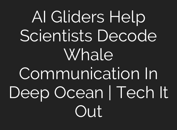 AI Gliders Help Scientists Decode Whale Communication In Deep Ocean | Tech It Out