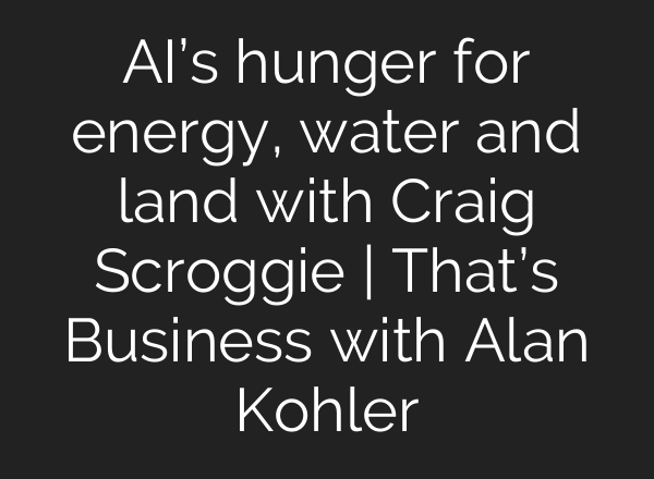 AI’s hunger for energy, water and land with Craig Scroggie | That’s Business with Alan Kohler