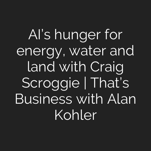 AI’s hunger for energy, water and land with Craig Scroggie | That’s Business with Alan Kohler