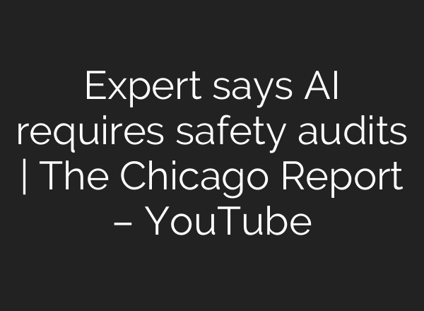 Expert says AI requires safety audits | The Chicago Report – YouTube