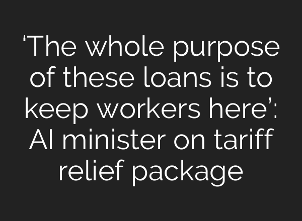 ‘The whole purpose of these loans is to keep workers here’: AI minister on tariff relief package