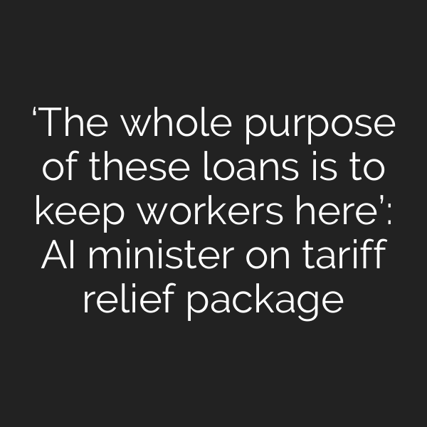 ‘The whole purpose of these loans is to keep workers here’: AI minister on tariff relief package