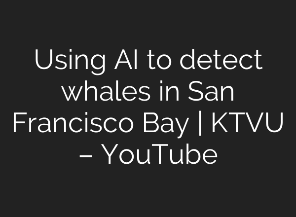 Using AI to detect whales in San Francisco Bay | KTVU – YouTube