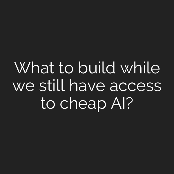 What to build while we still have access to cheap AI?