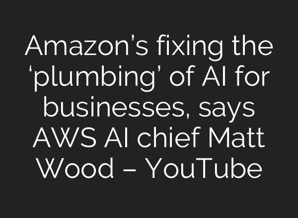 Amazon’s fixing the ‘plumbing’ of AI for businesses, says AWS AI chief Matt Wood – YouTube