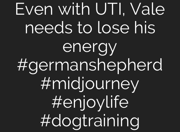 Even with UTI, Vale needs to lose his energy #germanshepherd #midjourney #enjoylife #dogtraining