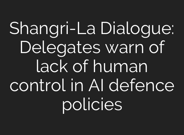 Shangri-La Dialogue: Delegates warn of lack of human control in AI defence policies
