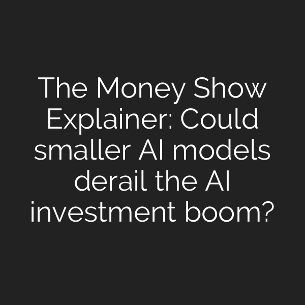 The Money Show Explainer: Could smaller AI models derail the AI investment boom?