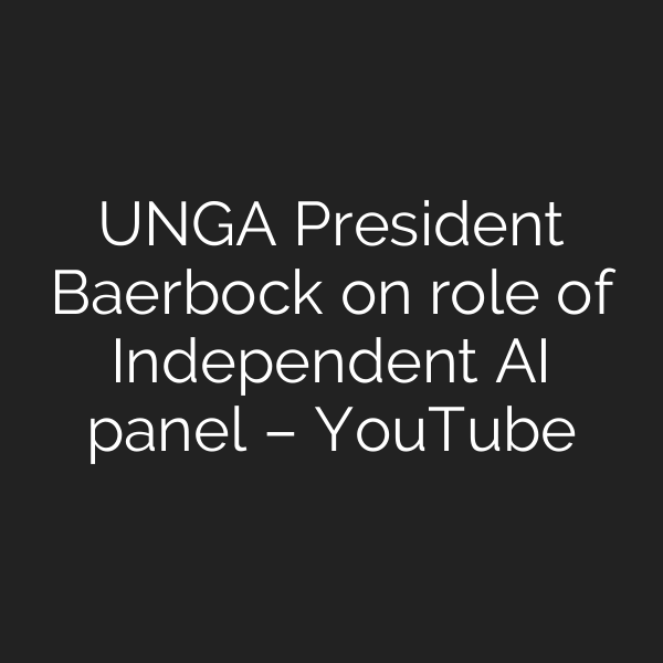 UNGA President Baerbock on role of Independent AI panel – YouTube