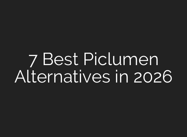 7 Best Piclumen Alternatives in 2026