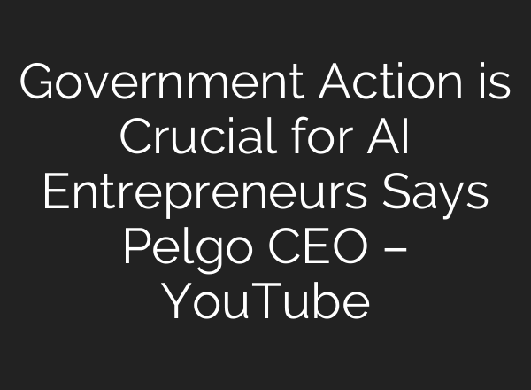 Government Action is Crucial for AI Entrepreneurs Says Pelgo CEO – YouTube