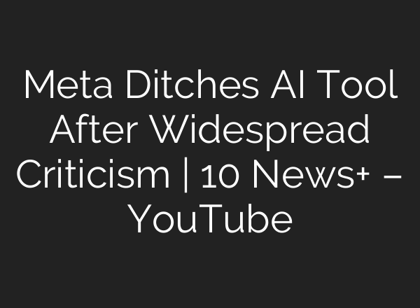 Meta Ditches AI Tool After Widespread Criticism | 10 News+ – YouTube