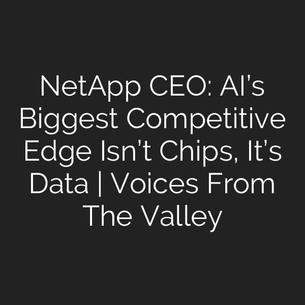 NetApp CEO: AI’s Biggest Competitive Edge Isn’t Chips, It’s Data | Voices From The Valley