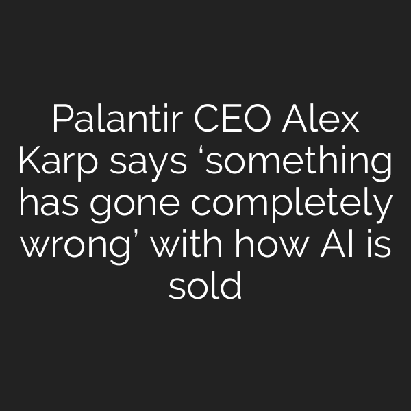 Palantir CEO Alex Karp says ‘something has gone completely wrong’ with how AI is sold